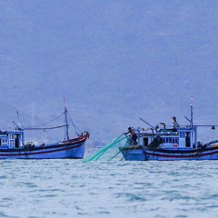 Tàu giã cào tận diệt thủy sản Khánh Hòa: Ngành nông nghiệp vẫn nói không có