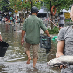 Người dân Đà Nẵng rủ nhau bắt cá trên đường phố sau mưa