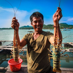 Trung Quốc tăng mạnh mua tôm, cá basa Việt Nam