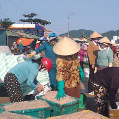 Hà Tĩnh: Trúng đậm “lộc” biển những ngày đầu vụ cá Bắc