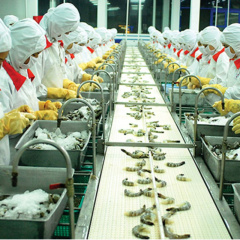 “Thỏa thuận Xanh”- Triển vọng về nền kinh tế xanh