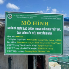 Phát triển nghề nuôi cá thát lát cườm