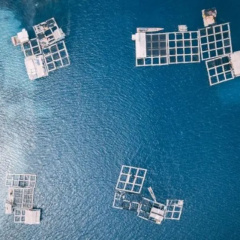 Thành tựu chuyển đổi trong nuôi trồng thủy sản