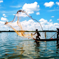 Việt Nam đứng đầu Đông Nam Á về nuôi trồng thủy sản