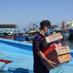 Gần 15.000 ngư dân Bình Định đón Tết trên biển