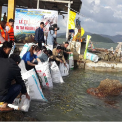Bình Định thả cá giống tái tạo nguồn lợi thủy sản trên đầm Thị Nại