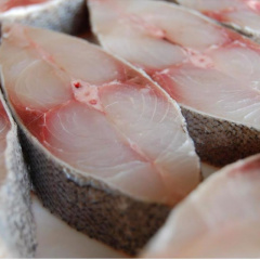 Na Uy tăng nuôi cá thịt trắng đáp ứng nhu cầu đang tăng cao