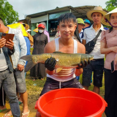 Độc đáo hội thi đi tìm Hoa hậu cá trắm