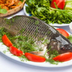 Tăng cường sức khỏe hô hấp mùa dịch với món cá chép