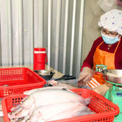 Mỗi ký cá thát lát nguyên liệu người nuôi lãi hơn 10.000 đồng