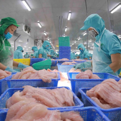 Liệu xuất khẩu thủy sản Việt Nam có thể phục hồi vào cuối năm 2023