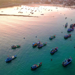 Chợ cá trên bãi biển lúc bình minh