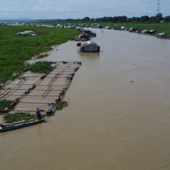 Hơn 2 năm, hàng trăm hộ dân nuôi cá bè chưa di dời