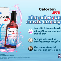 Caforton OS - Rút ngắn thời gian chuyển giai đoạn ấu trùng tôm, thúc đẩy tái thành thục tôm bố mẹ