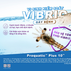 Proquatic™ Plus 10™ - Vi sinh kiểm soát vi khuẩn Vibrio trong nuôi trồng thủy sản