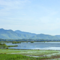 Bình Định: Giao quyền quản lý bảo vệ đầm Trà Ổ cho Tổ chức cộng đồng