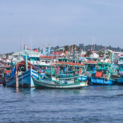Tàu cá Việt Nam