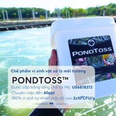 Chế phẩm men vi sinh PONDTOSS™ xử lý môi trường nuôi thủy sản