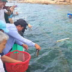 HTX Dịch vụ du lịch thủy sản xã Nhơn Hải: Nỗ lực bảo tồn biển và đa dạng sinh học