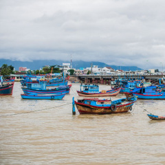 Tăng cường công tác quản lý đội tàu và theo dõi, kiểm tra, kiểm soát hoạt động tàu cá