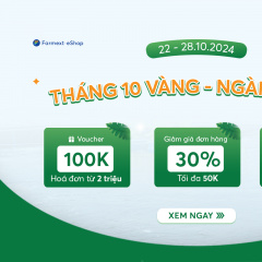 [22-28/10/2024] Tháng 10 vàng - Ngàn ưu đãi