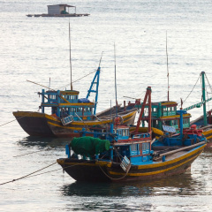 Phó Thủ tướng yêu cầu xóa tàu cá “3 không” trong tháng 11