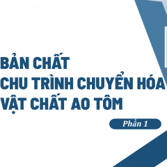 Bản chất chu trình chuyển hóa vật chất trong ao nuôi tôm