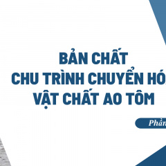 Bản chất chu trình chuyển hóa vật chất trong ao nuôi tôm