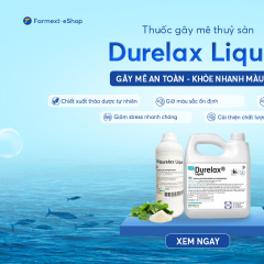 Sử dụng Thuốc mê Durelax Liquid cho cá tôm sao cho hiệu quả?