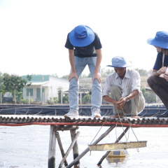 3 phương pháp chính tạo ra vụ nuôi thành công: An toàn sinh học, giám sát và đối phó với dịch bệnh