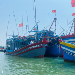 Tiếp tục tăng cường công tác phòng ngừa, ngăn chặn, xử lý tình trạng tàu cá Bình Định