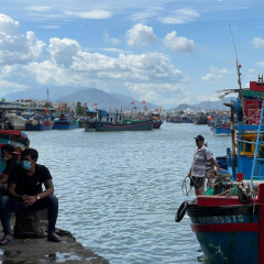 Bình Định tăng cường lãnh đạo, xử lý các tồn tại, hạn chế trong công tác chống khai thác IUU