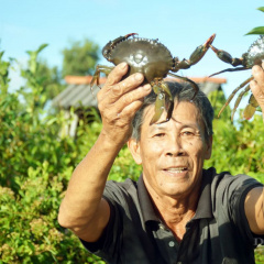 Những tỉnh thành tiềm năng phát triển thương hiệu cua biển Việt Nam