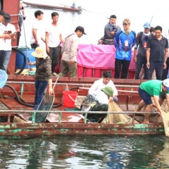 Phóng sinh đúng cách: Chọn giống bản địa, gieo mầm tương lai