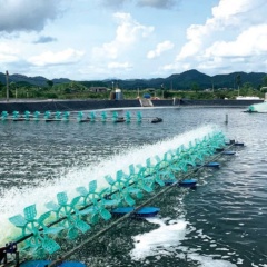 Chiều sâu lý tưởng của ao nuôi : Yếu tố kỹ thuật quyết định hiệu quả trong nuôi trồng thủy sản