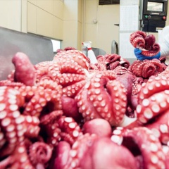 Việt Nam vượt Na Uy, lần đầu lọt top 3 xuất khẩu thủy sản vào Singapore