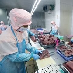 Xuất khẩu cá ngừ Việt Nam tháng 6/2025: Tăng trưởng mong manh giữa tâm bão thị trường