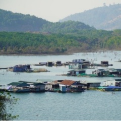 Làng chài Sê San: Mô hình kinh tế thủy sản hiệu quả và sự lồng ghép khéo léo của yếu tố phát triển du lịch
