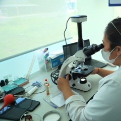 Kiểm tra vi khuẩn ao tôm: Tránh biến công cụ chẩn đoán thành yếu tố gây hại