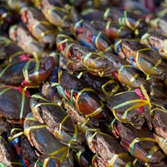 Cua ghẹ Việt Nam lập kỷ lục 10 năm, kỳ vọng cán mốc 350 triệu USD xuất khẩu