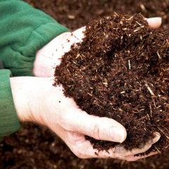 Từ bùn đen đến phân xanh: Quy trình tái sử dụng bùn ao hiệu quả