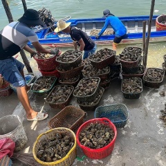 Hợp tác xã thủy sản trước thách thức hàng nhập giá rẻ