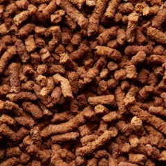 Mycoprotein – Giải pháp thay thế bột cá cho ngành tôm