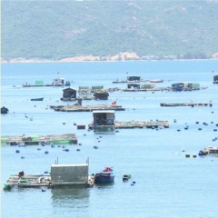 Vịnh Cam Ranh: Trả lại màu xanh cho nước và một tương lai mới cho ngư dân