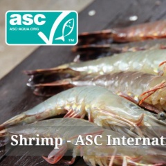 Chứng nhận tiêu chuẩn ASC cho lĩnh vực nuôi tôm