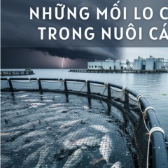 Những thách thức của ngành nuôi cá biển – Ký sinh trùng có phải nỗi lo số 1?