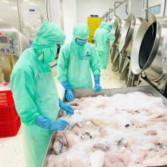 Thủy sản Việt Nam trước mệnh lệnh “xanh hóa”