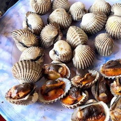 Sò huyết và những tác động đến sức khỏe người tiêu dùng