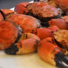 Cua cù kỳ - loài đặc sản độc đáo của Việt Nam