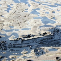 Mối nguy thầm lặng từ bùn đáy ao và chiến lược quản lý hiệu quả